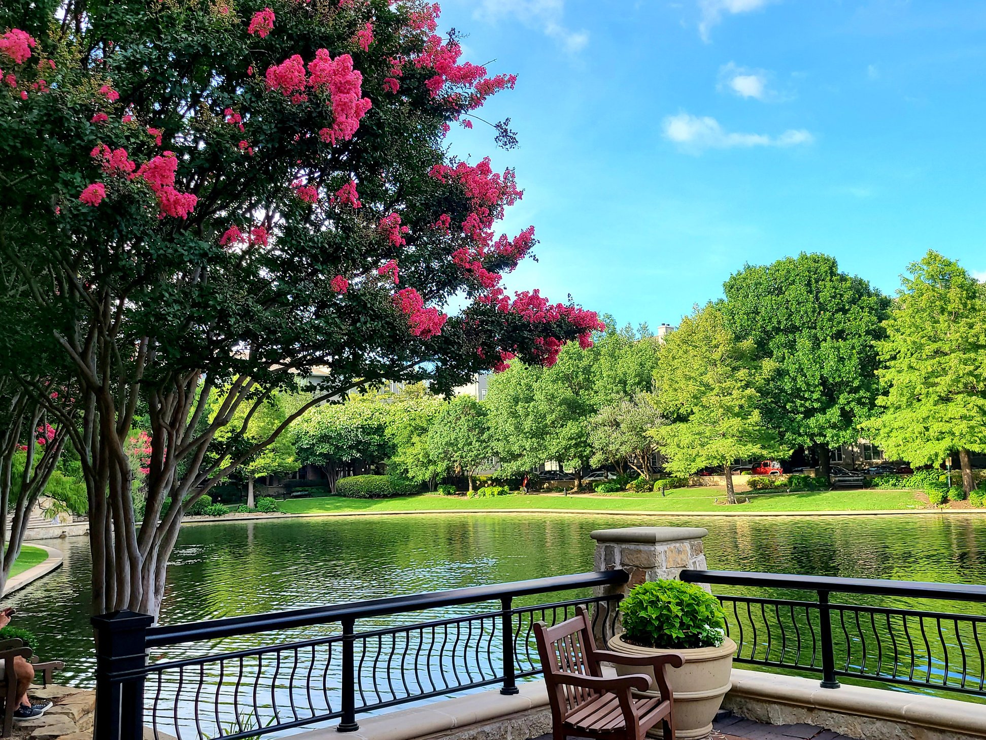 Tree lined lake viewed from patio